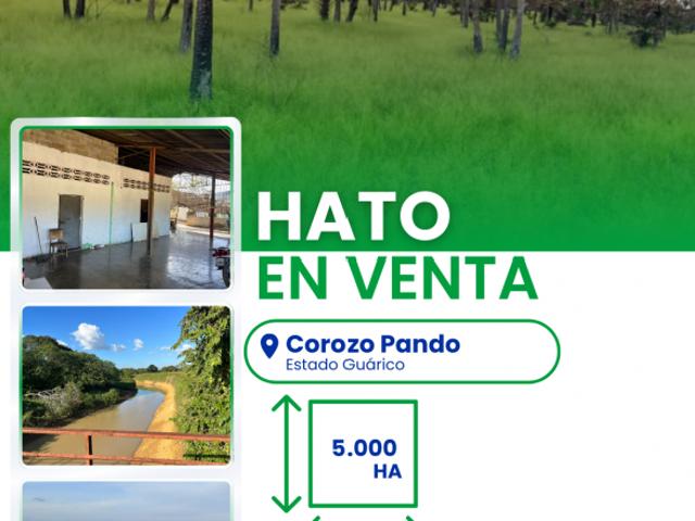 Finca en venta en Corozo Pando, Guárico