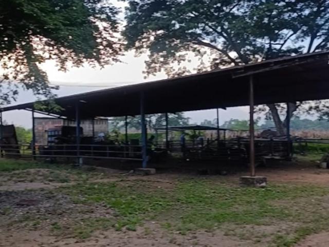 Finca en venta en Acarigua, Municipio Páez