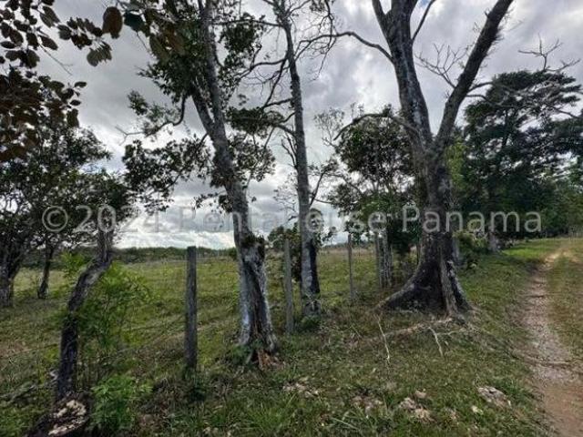 Se Vende Hermosa Finca Agrícola Ganadera en Potrerillos Arriba, 12 Hectareas