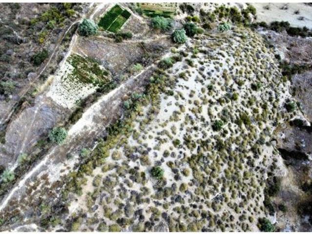 Local Comercial en venta en Valle del Almanzora, Andalucía