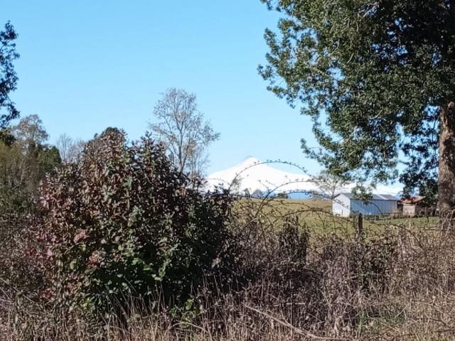 Terreno en venta en Panguipulli, Los Ríos