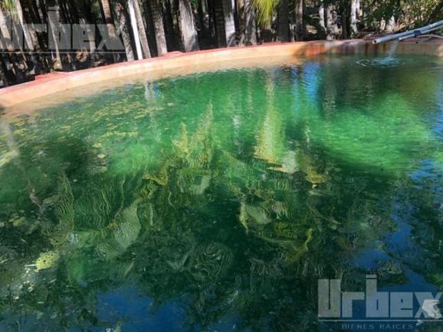 SE VENDE HERMOSA QUINTA EN IMI, CAMPECHE