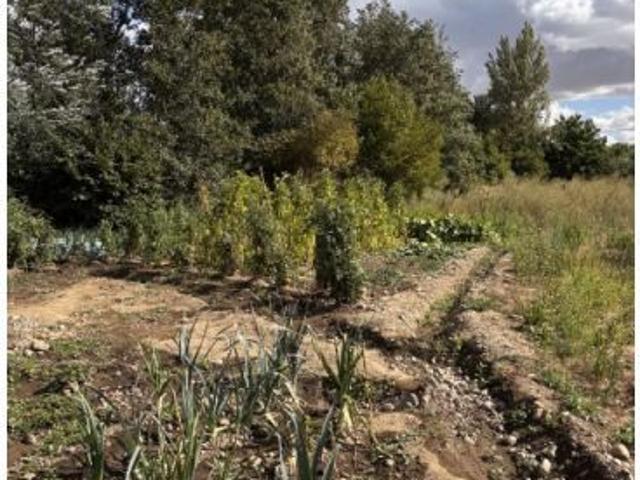 Local Comercial en venta en Poza De La Vega, Castilla y León