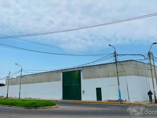 Local Comercial alquiler en Pisco, Ica