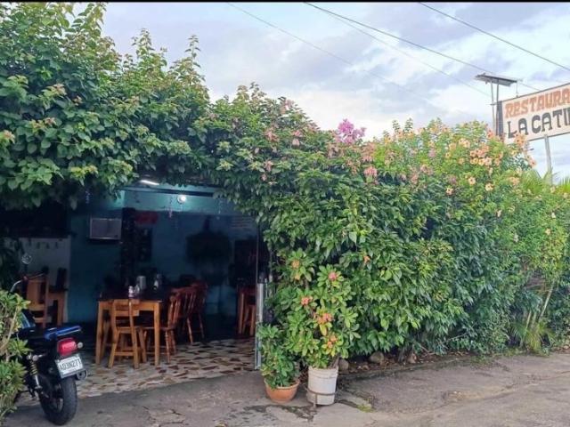 Local Comercial en venta en Gua, Portuguesa