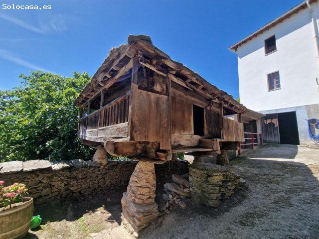 Casa en venta en Cangas Del Narcea, Asturias