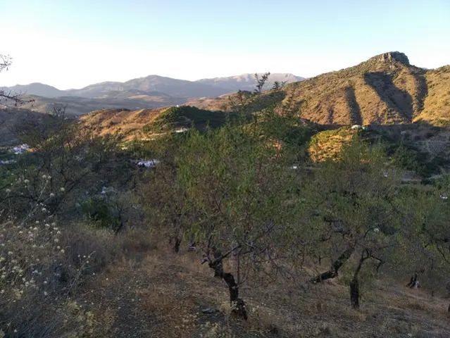 Terreno en venta en Benamargosa