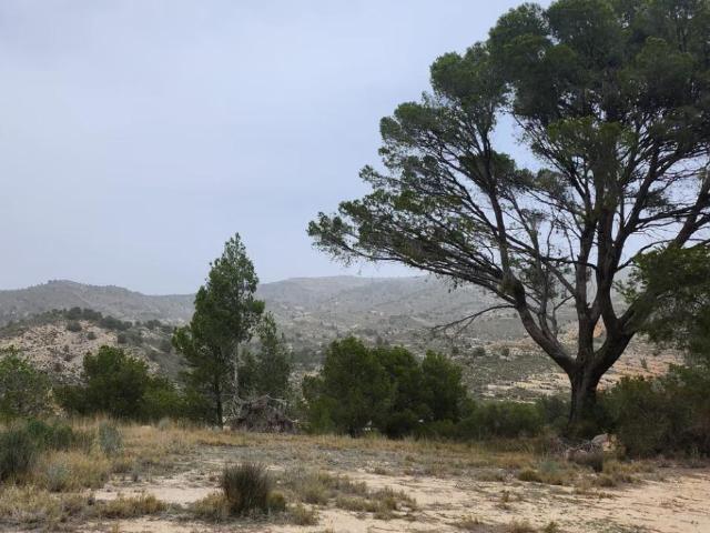 Terreno en venta en l'Alcoià, Valencia