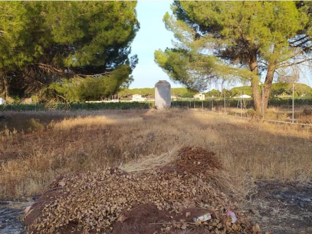 Chalet en venta en Paredazos de Montoya, Villarrobledo