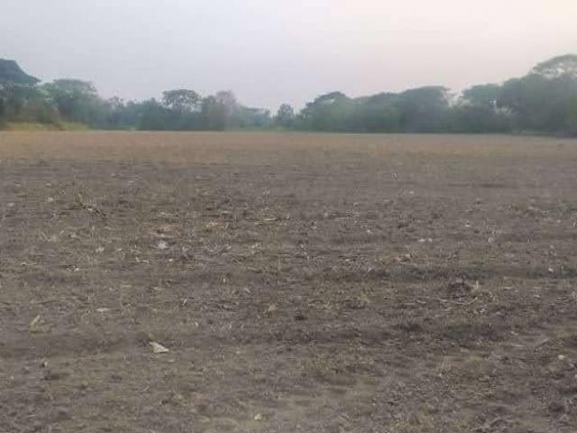 Finca en venta en Sipororo, Portuguesa