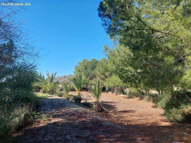 Casa en venta en el Baix Vinalopó, Valencia