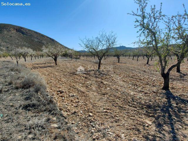 Local Comercial en venta en Barbarroja, el Baix Segura / La Vega Baja