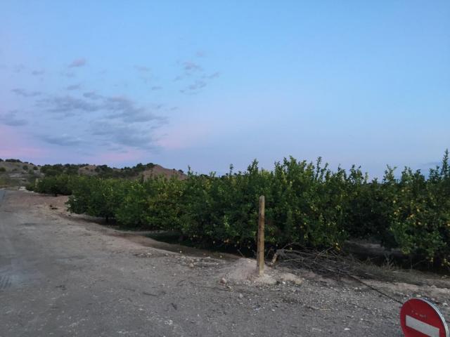 Terreno en venta en Javalí Nuevo, Área Metropolitana de Murcia