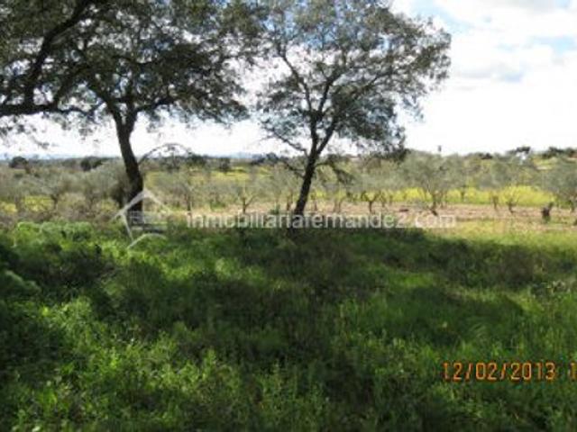 Terreno en venta en Arroyo De La Luz