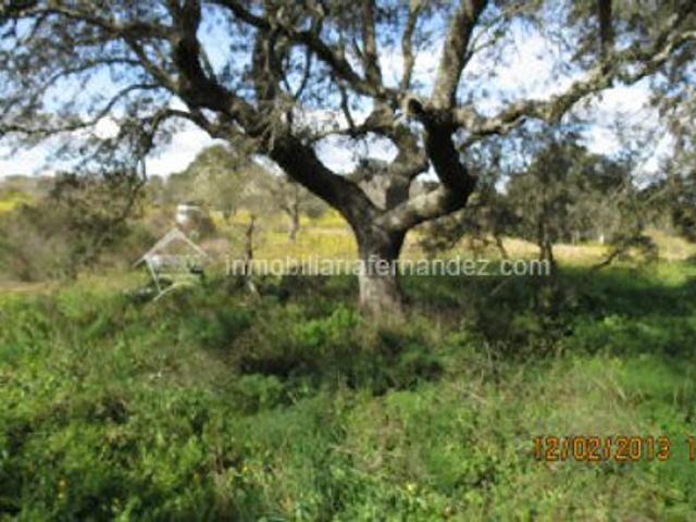 Terreno en venta en Arroyo de la Luz