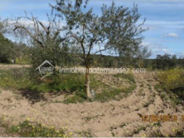 Local Comercial en venta en Arroyo De La Luz, Urbanización Las Viñas de Arroyo de la Luz