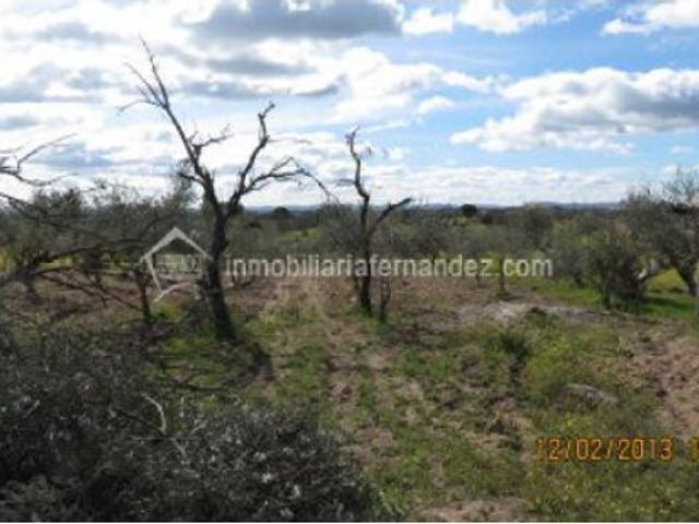 Local Comercial en venta en Arroyo De La Luz, Extremadura