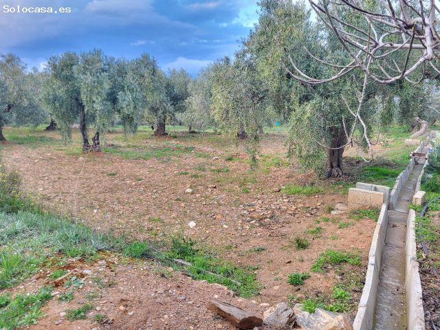 Local Comercial en venta en Abrucena, Andalucía