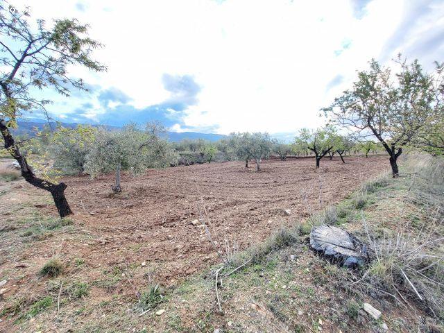 Local Comercial en venta en Abrucena, Andalucía