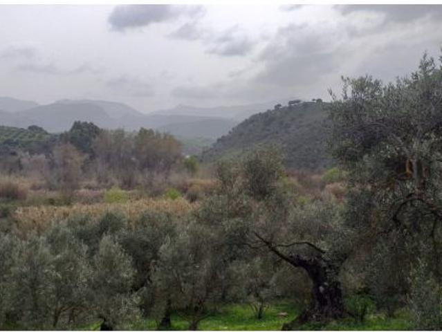 Local Comercial en venta en Sierra de Cádiz, Andalucía