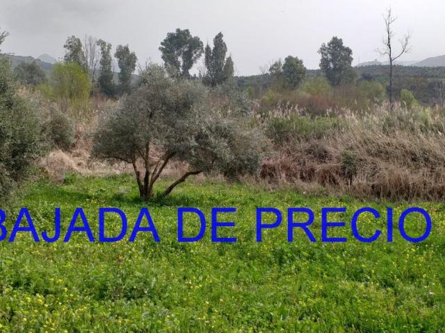 Chalet en venta en Sierra de Cádiz, Andalucía