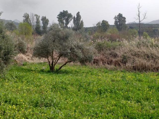 Chalet en venta en Sierra de Cádiz, Andalucía