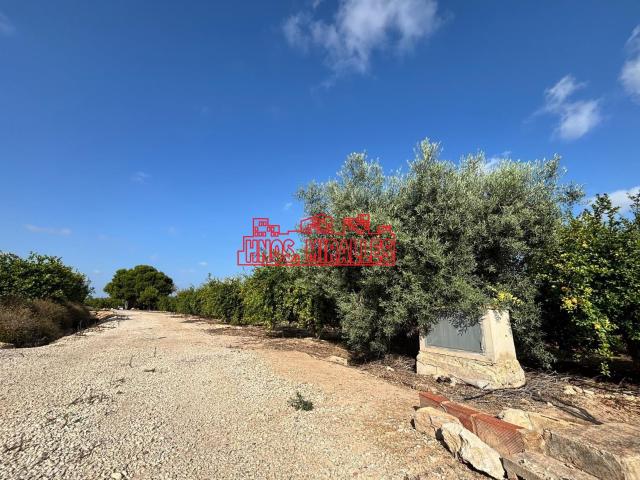 Terreno en venta en les Baies / Las Bayas, el Baix Vinalopó