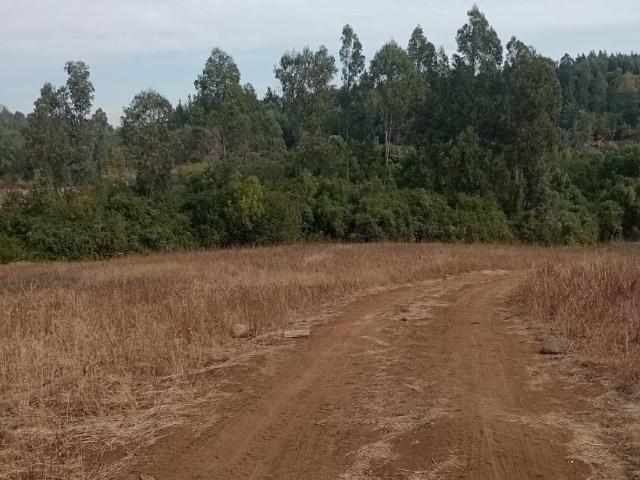 Terreno en venta en Contulmo, Biobío