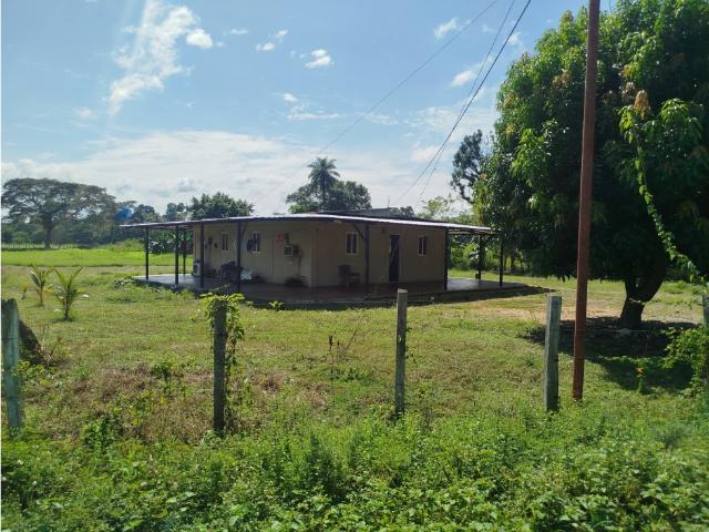 Local Comercial en venta en Portuguesa