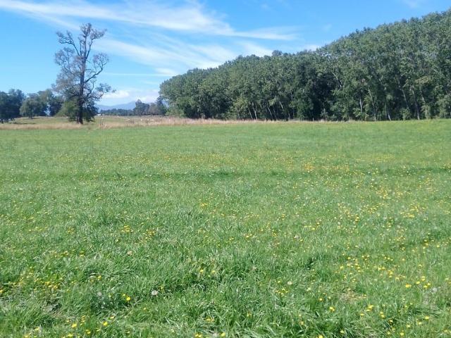 Terreno en venta en Lago Ranco, Los Ríos