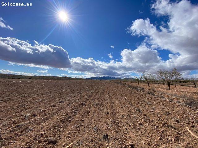Local Comercial en venta en Valle del Almanzora, Andalucía