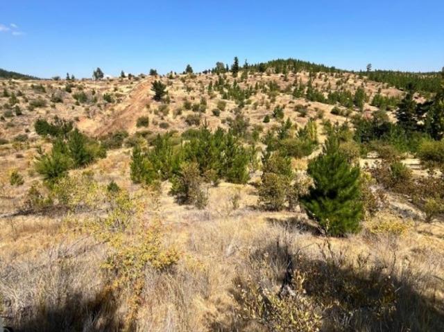 Terreno en venta en Linares, Maule