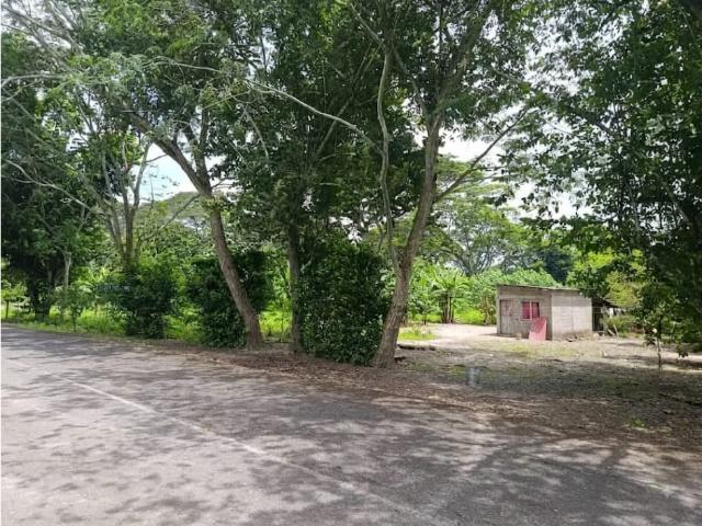 Finca en venta en Gua, Portuguesa