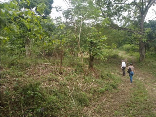 Terreno en venta en Delta Amacuro