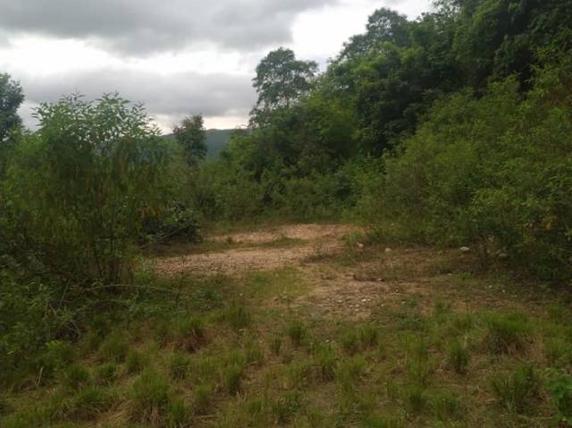 Terreno en venta en Delta Amacuro