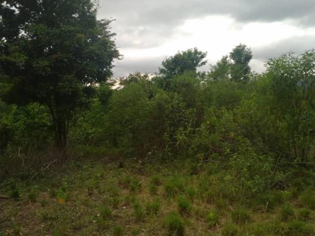 Terreno en venta en Delta Amacuro