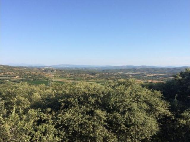 Local Comercial en venta en Somontano de Barbastro, Aragón