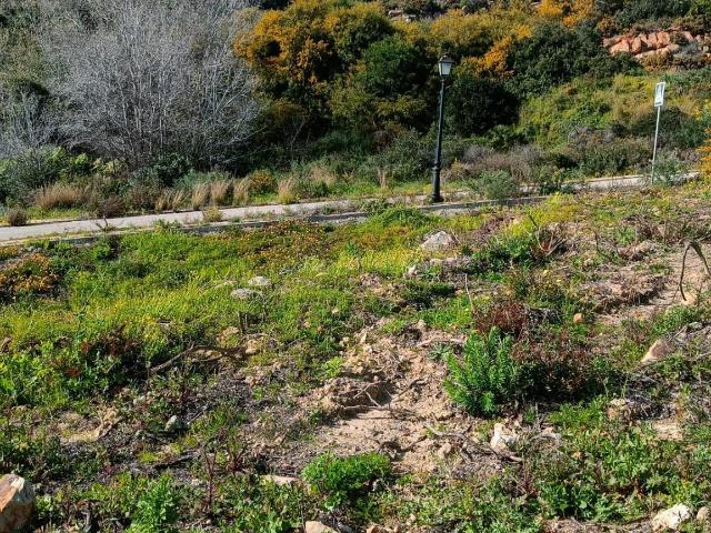 Terreno en venta en San Enrique de Guadiaro, Campo de Gibraltar