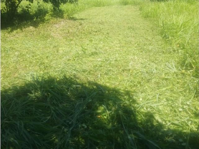 Terreno en venta en Gua, Portuguesa