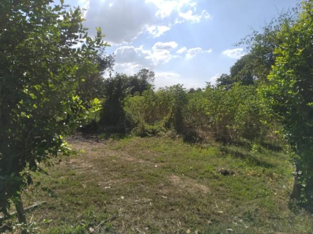 Terreno en venta en Gua, Portuguesa