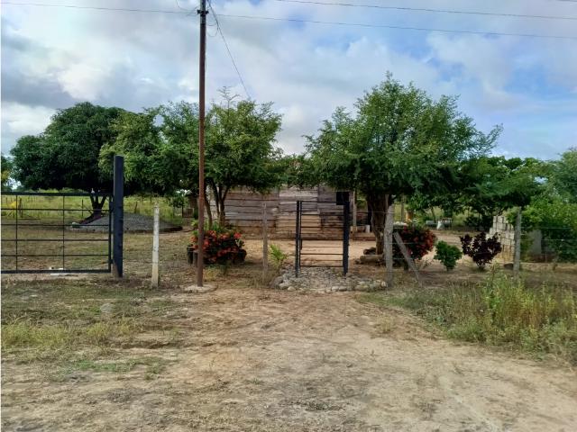 Casa en venta en Gua, Portuguesa