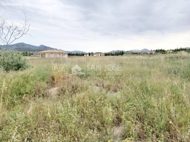 Local Comercial en venta en el Vinalopó Mitjà / El Vinalopó Medio, Valencia