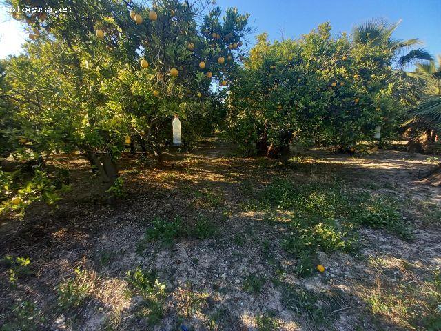 Local Comercial en venta en el Derramador, el Baix Vinalopó