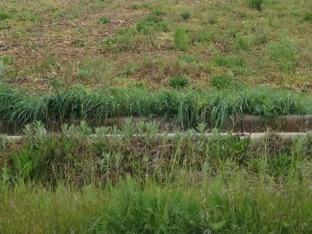 Terreno en venta en Fresno De La Vega, Castilla y León