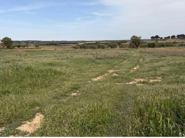 Local Comercial en venta en Abengibre, Castilla-La Mancha