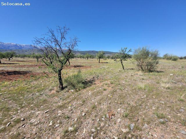 Local Comercial en venta en Abrucena, Andalucía