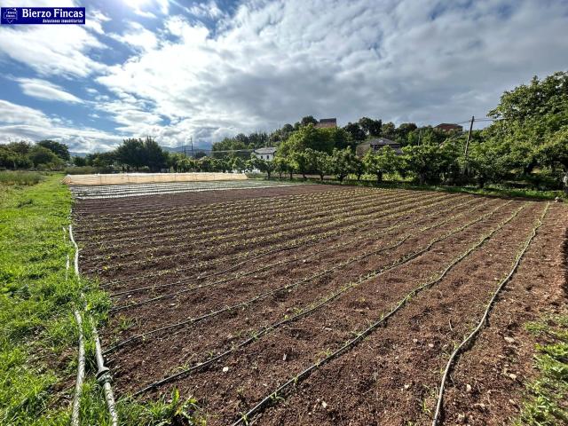 Terreno en venta en El Bierzo, Castilla y León