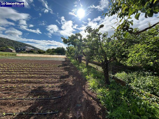 Local Comercial en venta en El Bierzo, Castilla y León