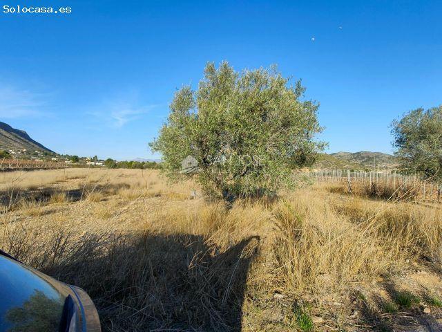 Local Comercial en venta en el Vinalopó Mitjà / El Vinalopó Medio, Valencia