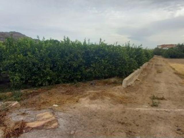 Local Comercial en venta en Monteagudo, Área Metropolitana de Murcia